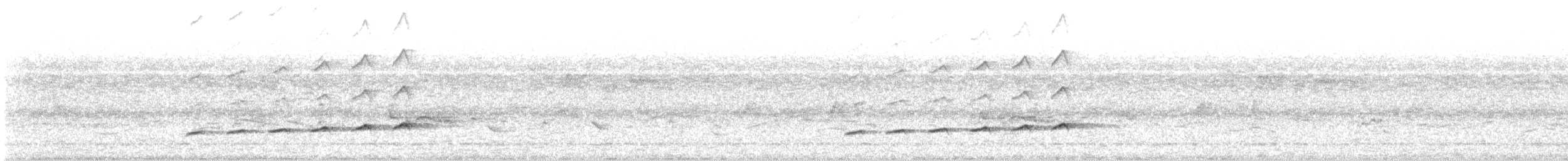 Fork-tailed Drongo-Cuckoo - ML599121241