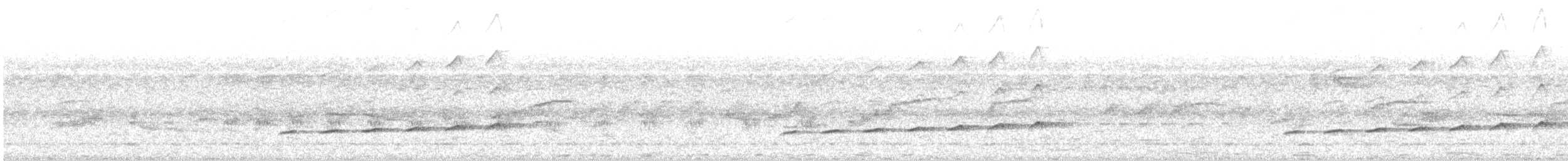 Fork-tailed Drongo-Cuckoo - ML599121251