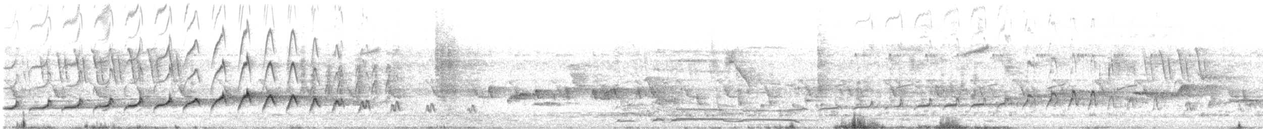 Вилохвостая дронговая кукушка - ML599136361