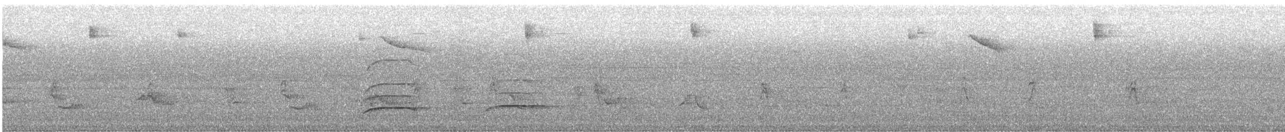 Краснохвостый канюк (borealis) - ML599140221