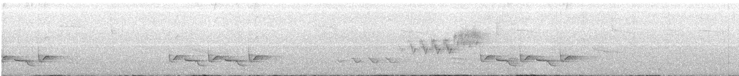 Troglodyte de Caroline - ML59914181