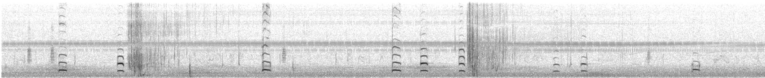 Txilinporta mokolodia - ML599156491