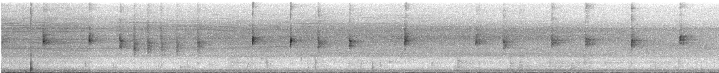 Louisiana Waterthrush - ML599169531