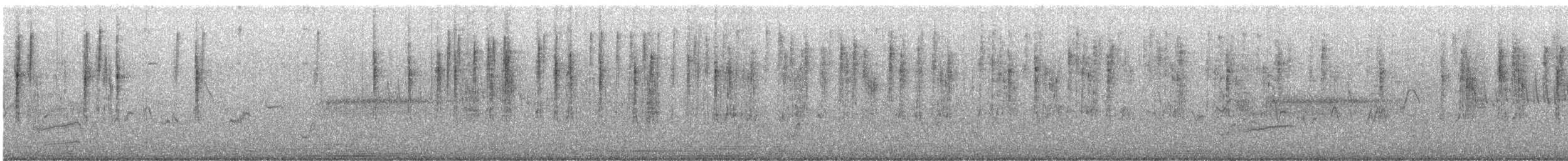 gråparula - ML599194511