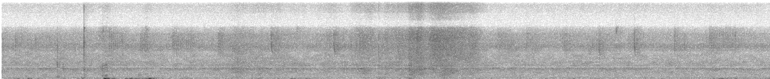 Colibrí Cometa - ML599200631