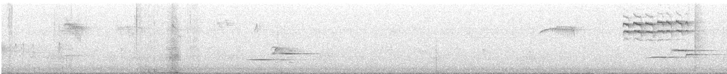 Дрізд-короткодзьоб плямистоволий - ML599206121