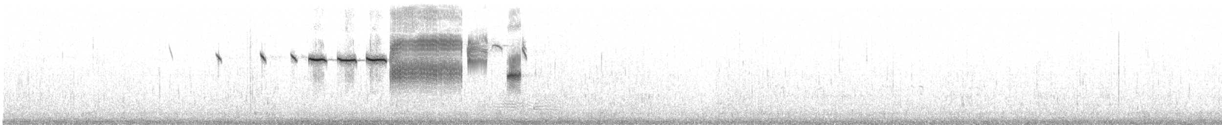 サバンナシトド（rostratus／atratus） - ML599219891