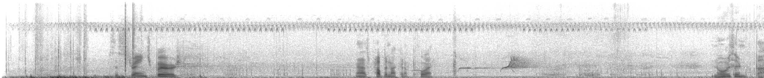 nordkrattvaktel (virginianus gr.) - ML599231881