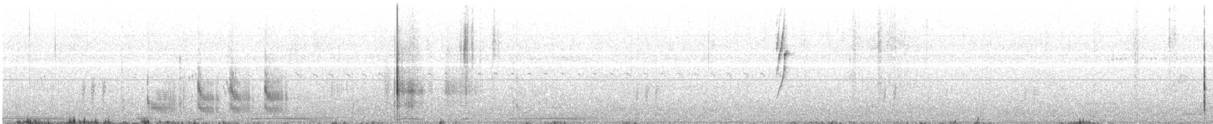 Weißwangen-Dickichtschlüpfer - ML599240051