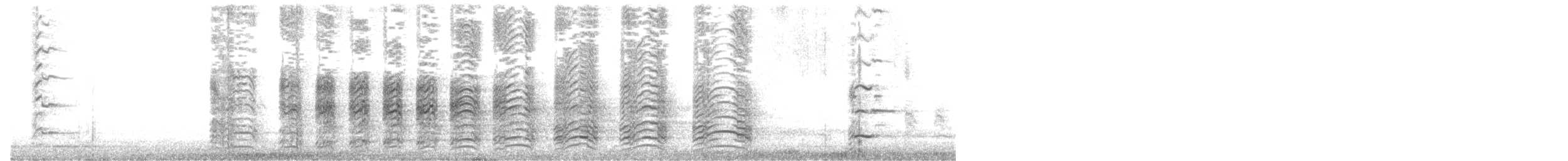 Aztekenmöwe - ML599271131