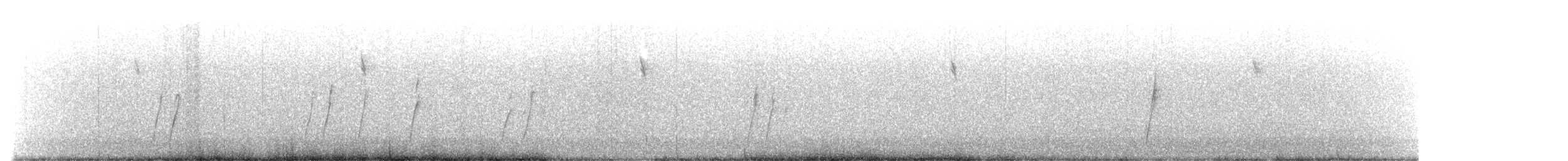 Curve-billed Thrasher - ML599274481