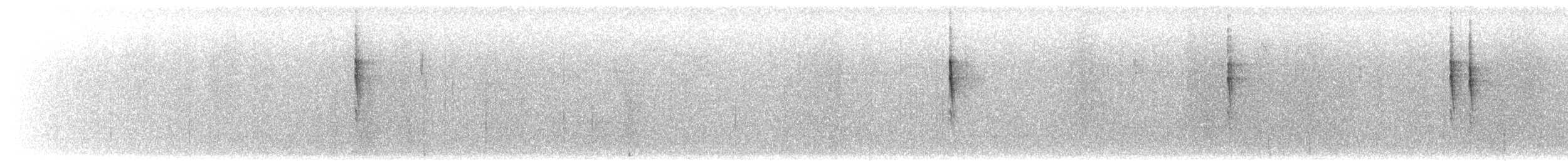 Troglodyte de Baird - ML599315201