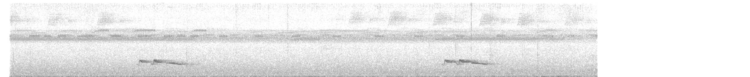 Troglodyte à poitrine blanche - ML599336541