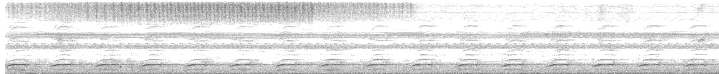 Laughing Falcon - ML599355581