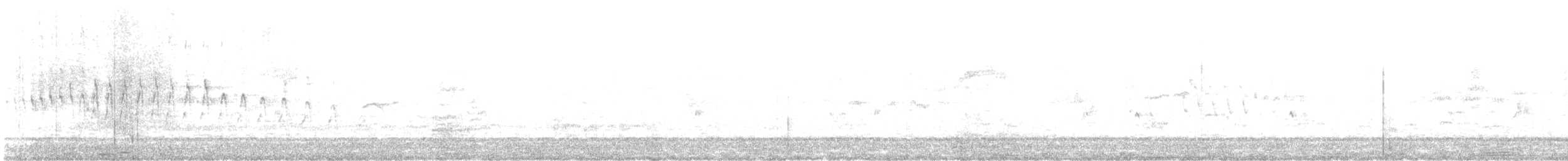 シロハラアマツバメ - ML599366721