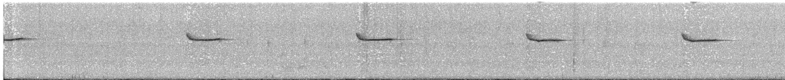 White-crowned Forktail (Northern) - ML59937041