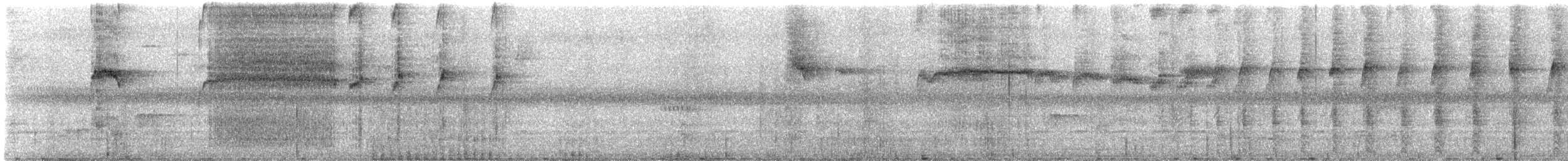 Black-streaked Puffbird - ML599384191