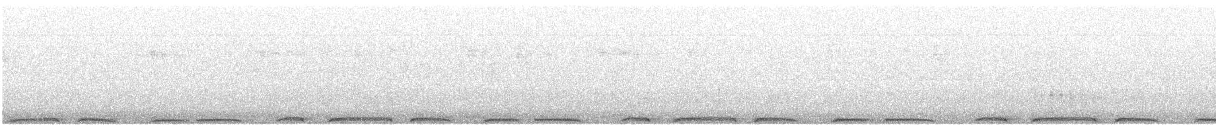 holub hřivnáč - ML599393681
