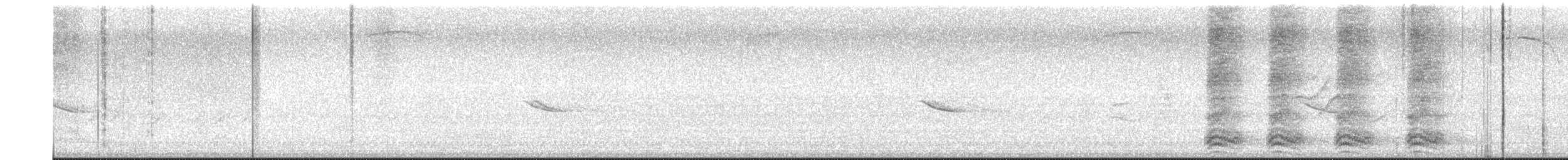 American Crow - ML599433191