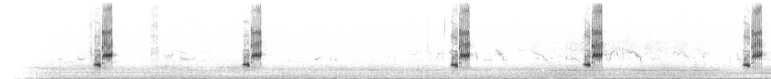 ťuhýk šedý (ssp. pallidirostris) - ML599439381