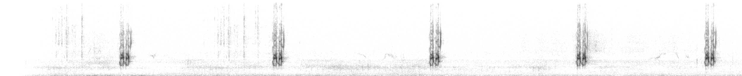 ťuhýk šedý (ssp. pallidirostris) - ML599439411