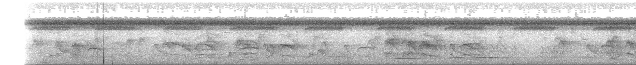 Undulated Tinamou - ML599469901