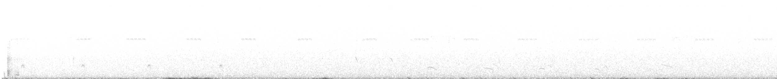 Silberwangen-Ameisenwürger - ML599490561