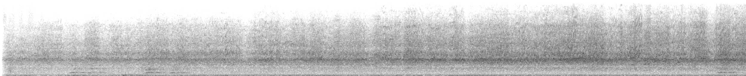 Длинноклювая которра - ML599500881