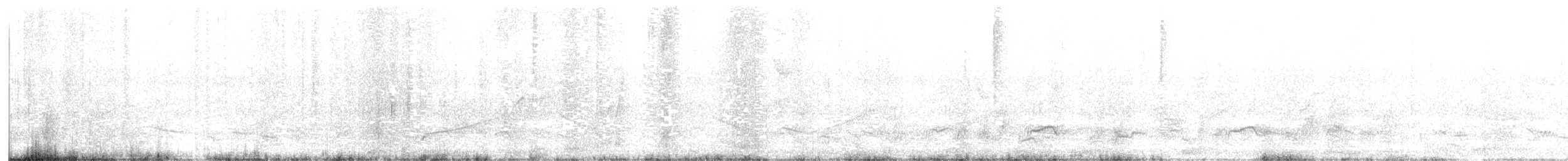 Crested Bobwhite - ML599506761