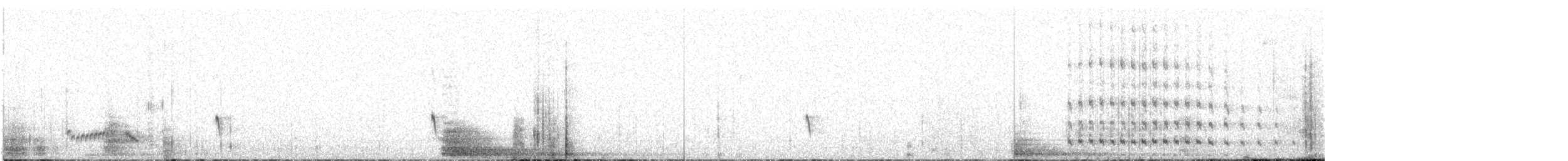 holoubek černokřídlý - ML599510251