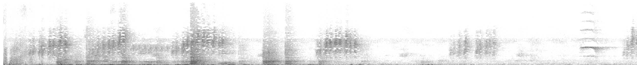 Southern House Wren - ML599512351