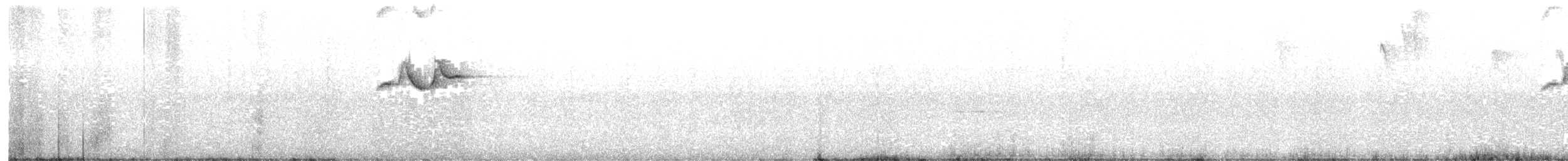 Cabanis's Wren - ML599512531