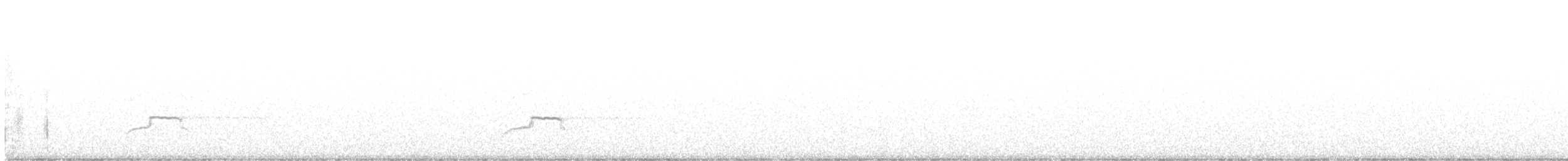 dytík úhorní - ML599520581