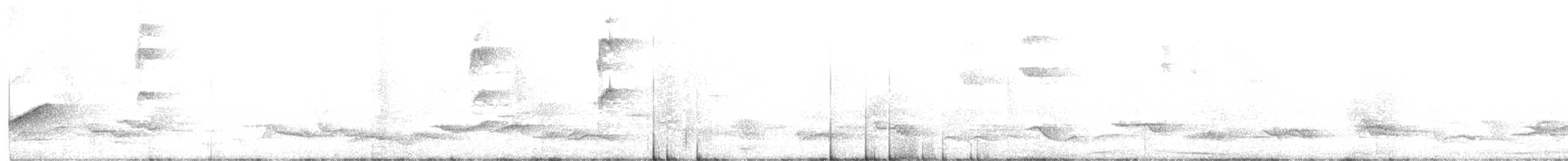 Pepitero Grisáceo Norteño - ML599523321