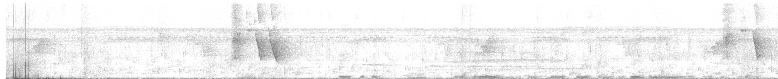 Kuzeyli Kara Yüzlü Kocabaş - ML599527831