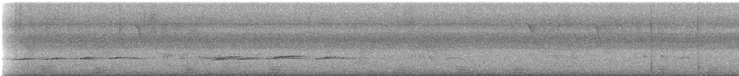Striped Cuckoo - ML599543031