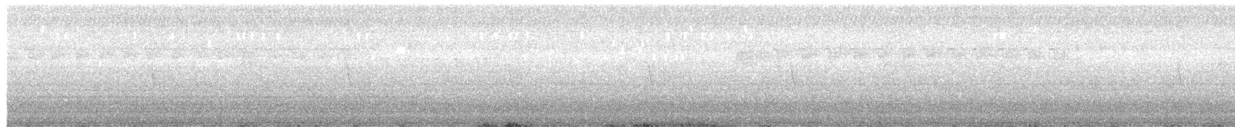 Colibri à gorge blanche - ML599548431