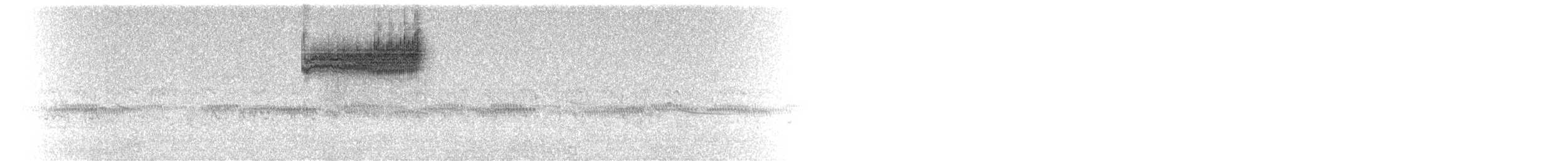Тауї плямистий - ML599563731