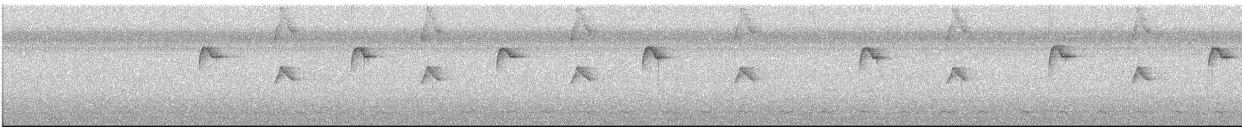 Чешуегорлый колибри-отшельник - ML599578711