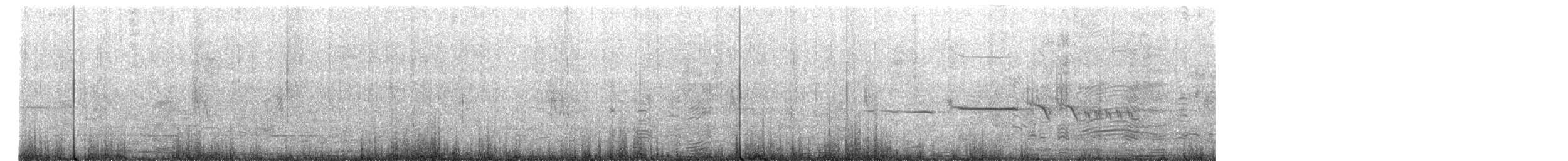 White-crowned Sparrow - ML599584041