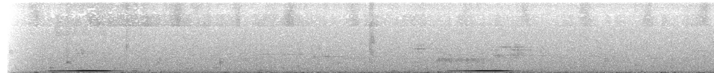 Weißgesichttaube - ML599613601