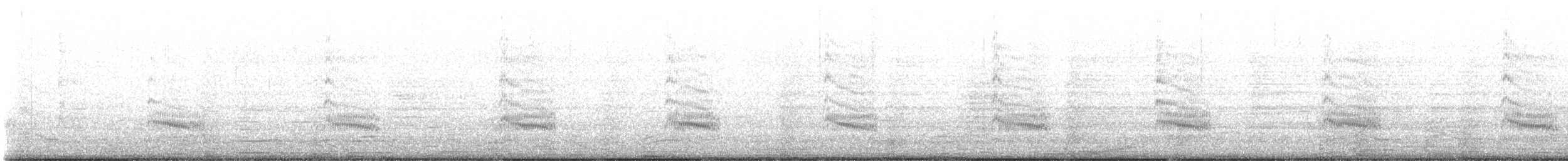 שחפית שחורת-אוזן - ML599640061