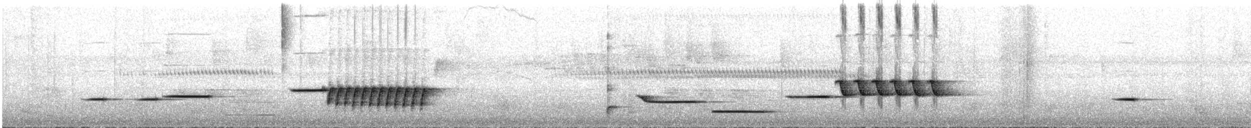 Kestane Göğüslü Çıtkuşu (thoracicus) - ML599642481
