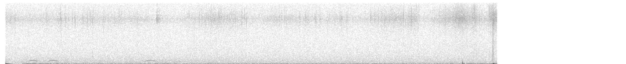 Сова плямиста - ML599644631