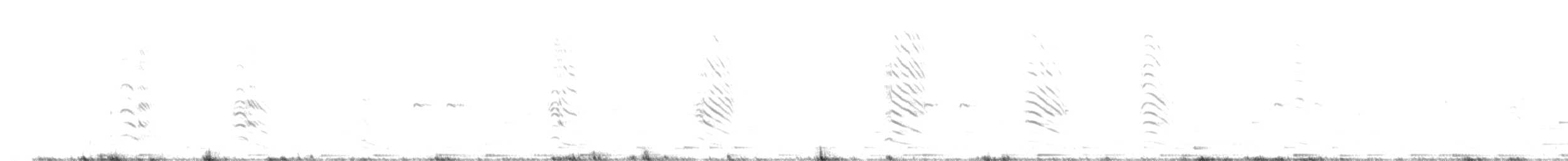 Gracchio corallino - ML599648201