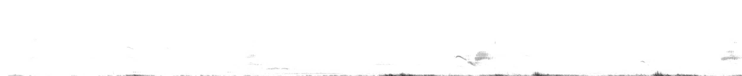 Gracchio corallino - ML599649191
