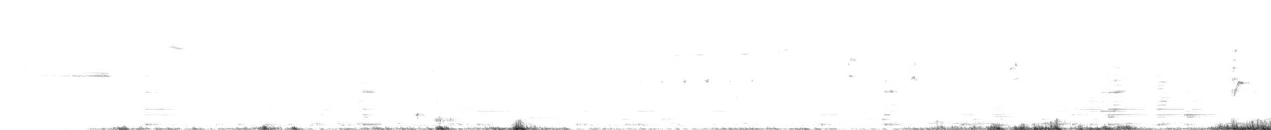 Zigolo giallo - ML599649221