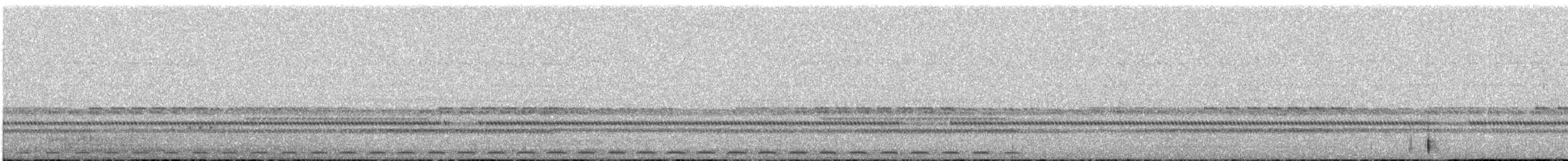 Cloud-forest Screech-Owl - ML599657401