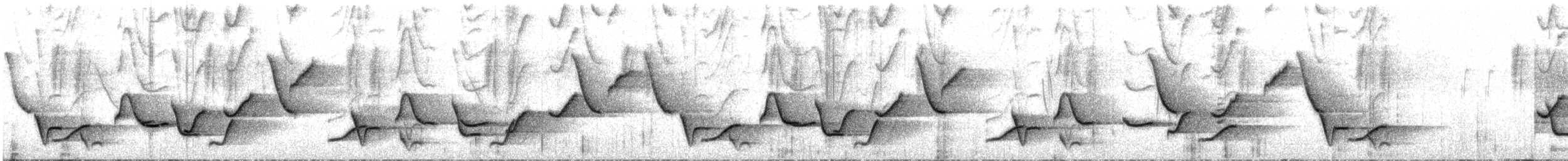 インカマユミソサザイ - ML599703761