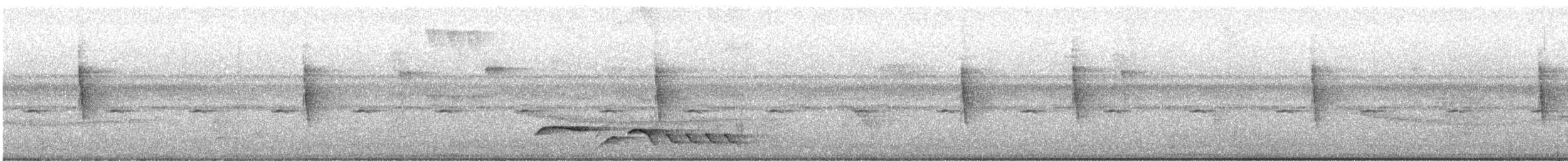 Kara Gerdanlı Çıtkuşu - ML599711241